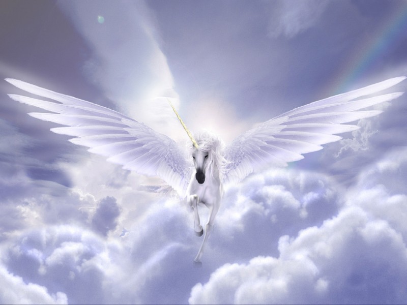 https://ighsaan.files.wordpress.com/2011/07/unicorn-wings-1-1kcvwheith-800x600.jpg